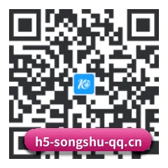系统版 iOS 二维码